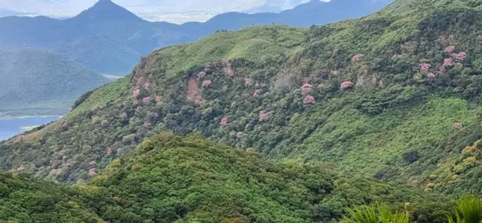 Terreno na Serra do Lajedo