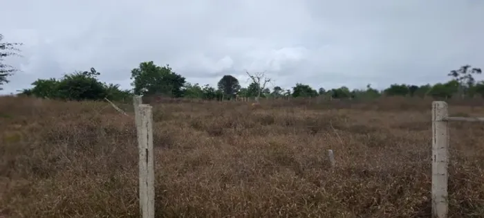 Terreno Com 6.600 Mil Metros