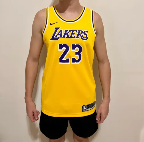 Regata Lakers LeBron James