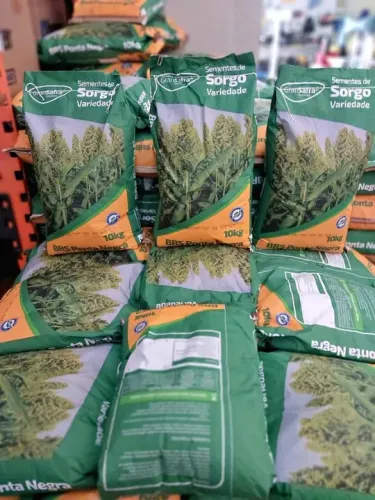 Semente de Sorgo ponta negra 10kg (Safra Nova)