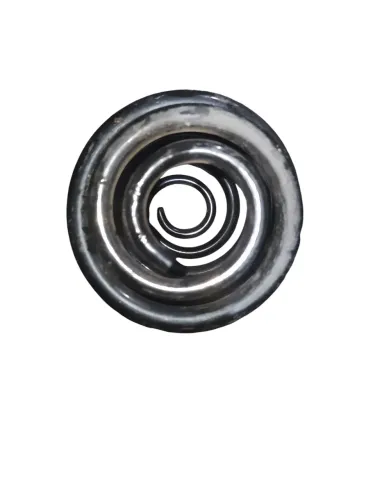 Mola Traseira Direita Renault Clio 2001