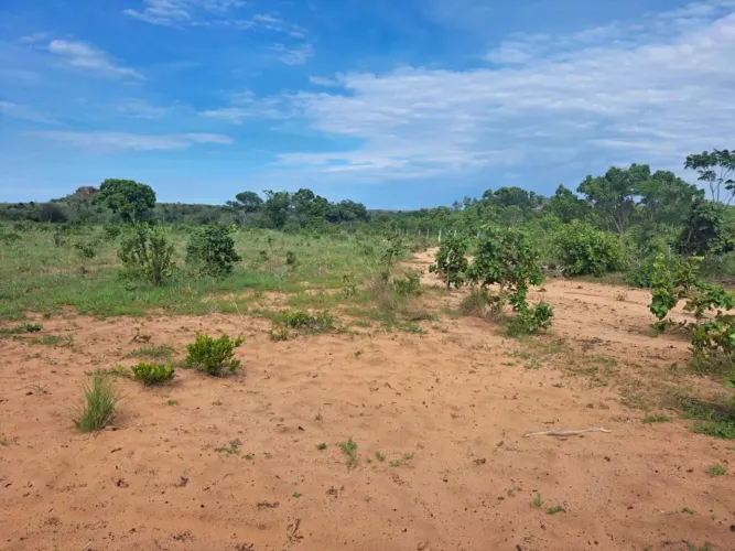 Fazenda no Tocantins 
