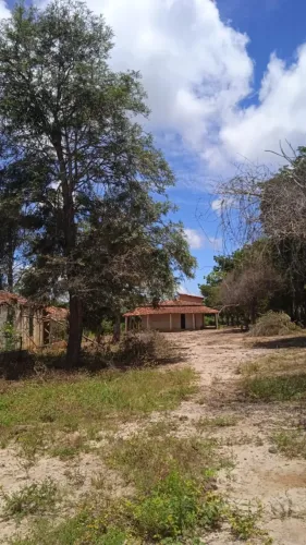Fazenda à Venda - 58 hectares - Região de Dantilândia / Inhobim