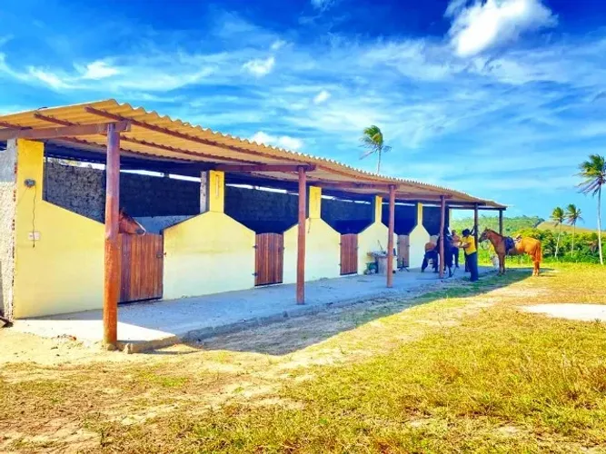 Fazenda em Indiaroba com 163 Tarefas