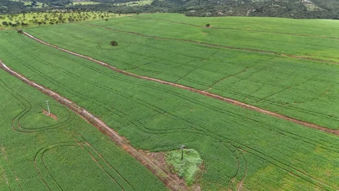 Fazenda de 40 alqueires