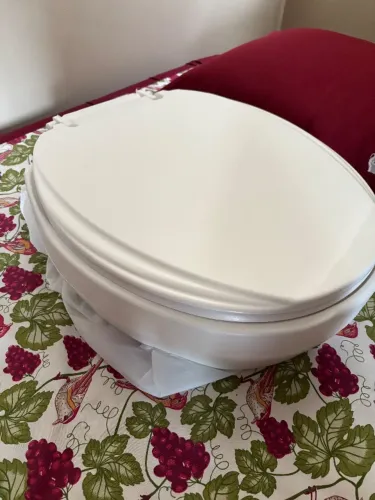 Assento sanitário elevado