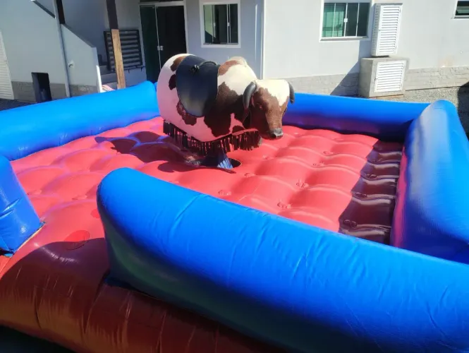 Touro Mecânico Monofásico 