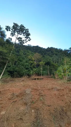 Sítio residencial - Rod V.Nova x Castelo - Limoeiro 