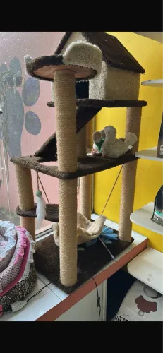 Arranhador de gato vitrine