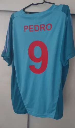 Pedro Flamengo 