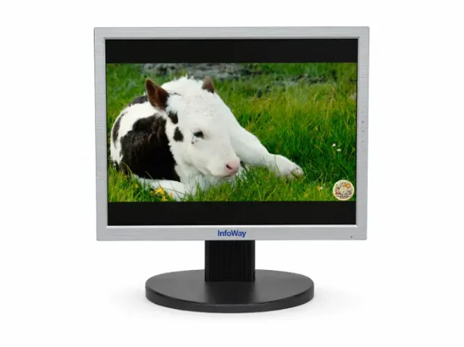 Monitor Itautec 15 Polegadas L1552SQ LCD VGA