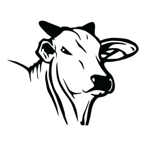 Procura-se gado, carneiro,porco