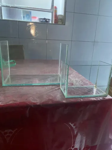 Aquários