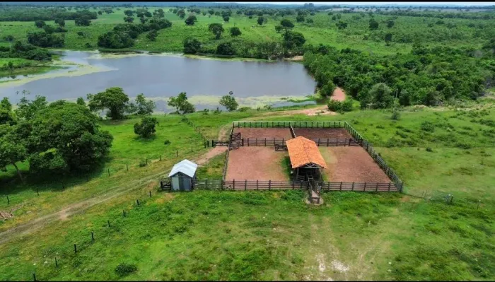 Fazenda a Venda de 646 Hectares próxima a Cuiaba MT