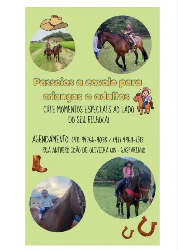 Aulas de Equitação e Passeio a Cavalo