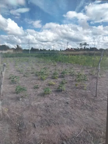 Terreno
