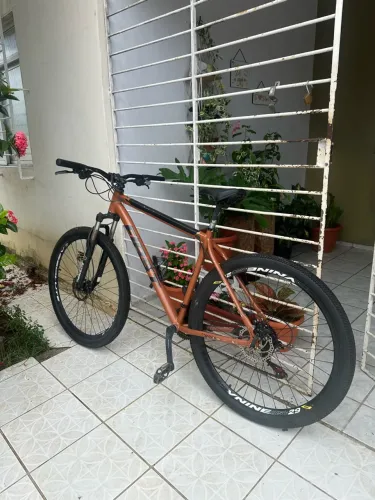Bicicleta