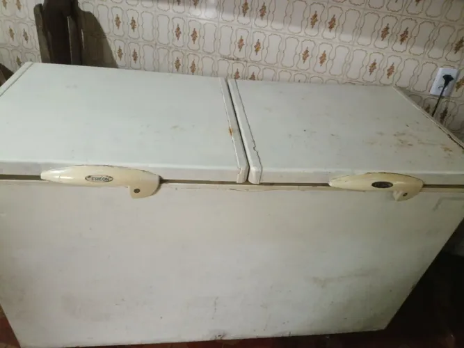 Frizer de 2 Portas 