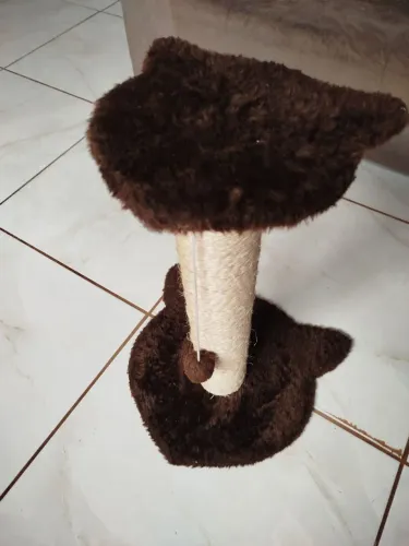 Arranhador para gatos