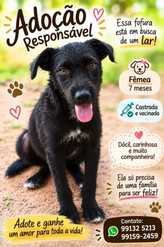 Adoção responsável