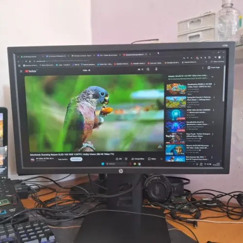 Monitor HP V22b Base Giratória