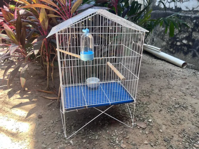 Gaiola para Aves