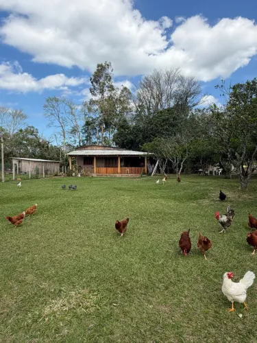 Vendo sítio com casa de pedra