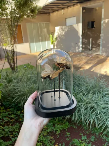 Escultura Borboletas com Cúpula