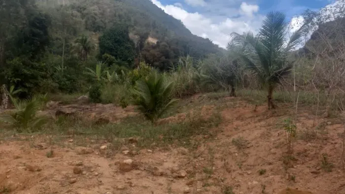 Terreno 04 mil mt 02 nascentes 04 platô