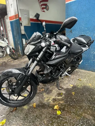 Mt03