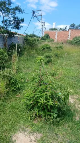 Vendo terreno maravilhoso