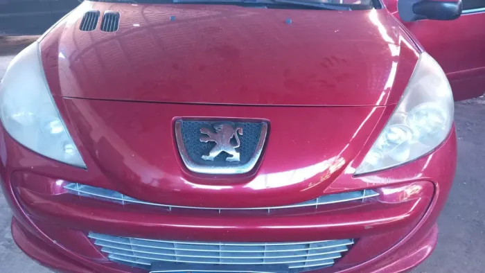 Peugeot 207 XR 1.4 Flex 8V 5P 2012