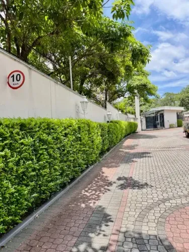 Casa em condomínio fechado aluguel tem 300 metros quadrados com 4 quartos