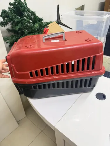 Casinha de transporte animais