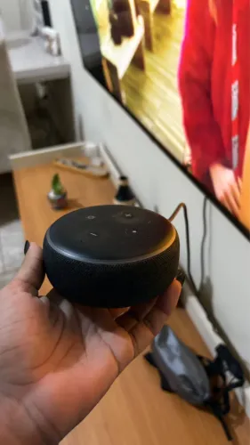 Echo Alexa