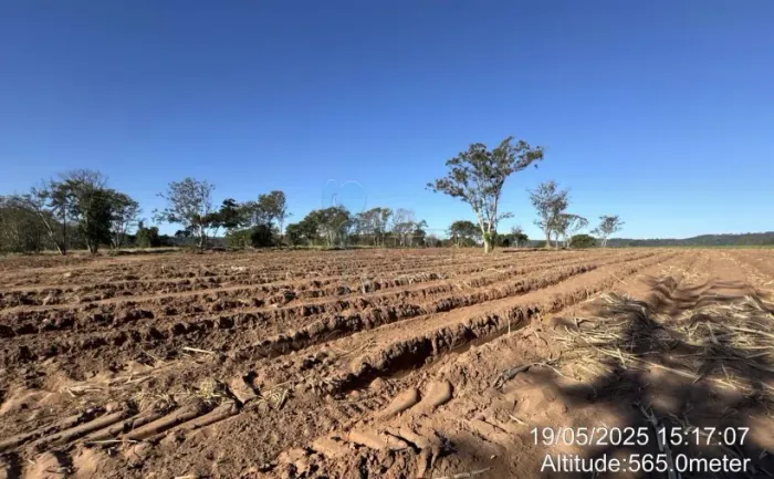 Fazenda de 605 hectares à venda - Ibaté