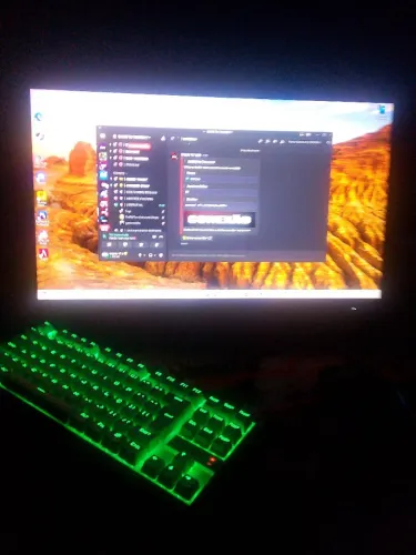 PC gamer