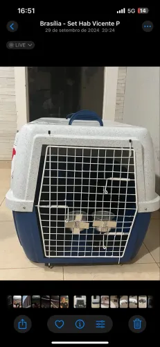 Caixa de Transporte Pet Clicknew tamanho 4  Homologada Voo LATAM