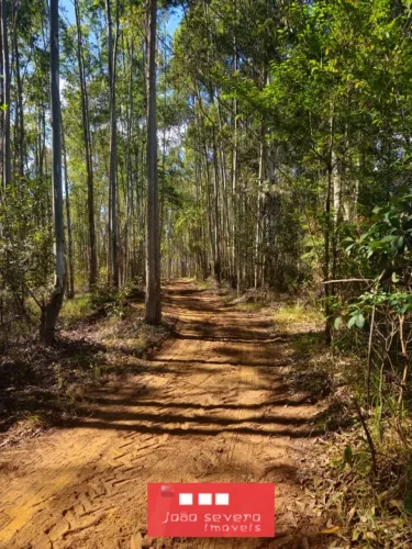 Fazenda para Venda em Aiuruoca