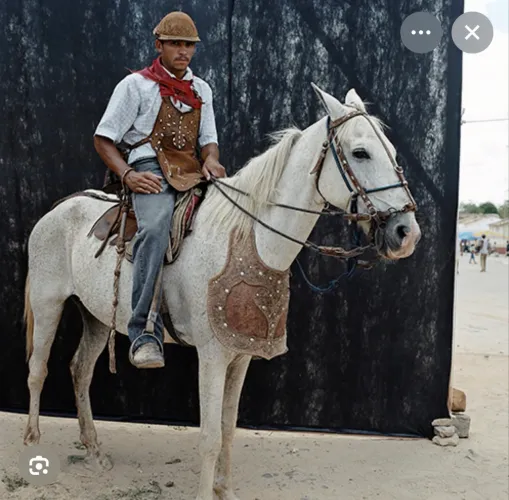 VAGA PARA VAQUEIRO