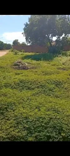 Lote Taquaralto,Palmas -TO