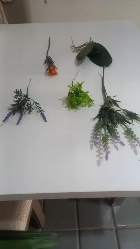 Folhas para decoração unidade