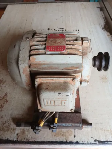 Motor 3cv, trifásico, 3440 rpm, 2 pólos, ip 54 e Mancal jacaré, nr. 5.