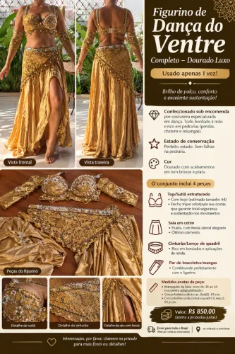 Figurino de Dança do Ventre Completo - Dourado Luxo (Usado apenas 1 vez)