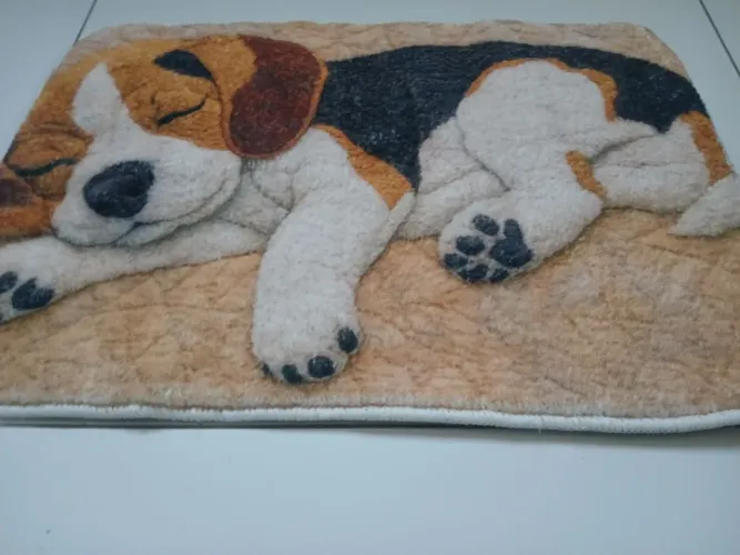 Tapete 60 X 40
