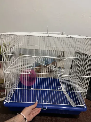 Casinha de hamster + acessórios