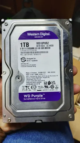 HD de 1tb wester digital porpple