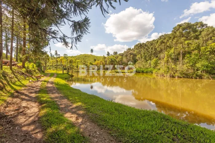 Chácara à venda, 110456 m² por R$ 730.000,00 - Campo Magro - Campo MagroPR