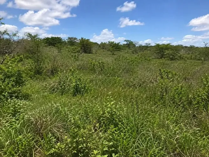 VENDE-SE UM EXCELENTE LOTE DE TERRAS COM 10 HECTARES