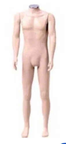 expositor masculino adulto  manequim 